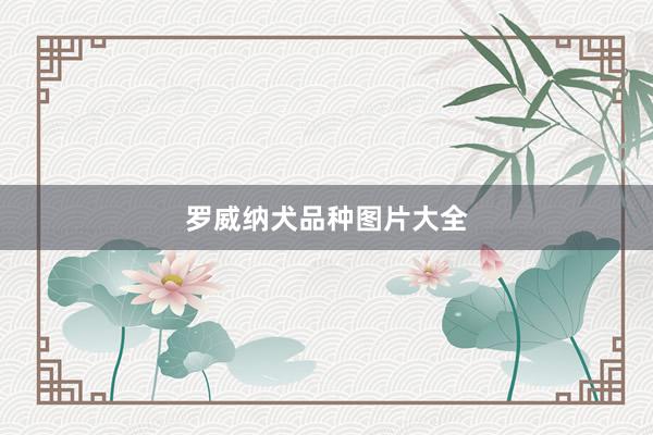罗威纳犬品种图片大全